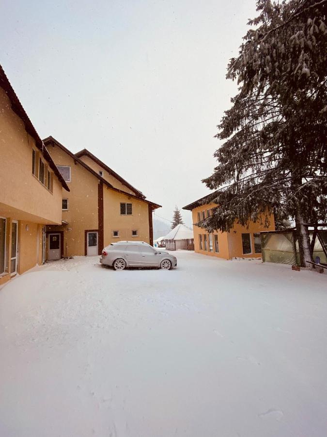 Casa Raluca Villa อาริเอเชนิ ภายนอก รูปภาพ
