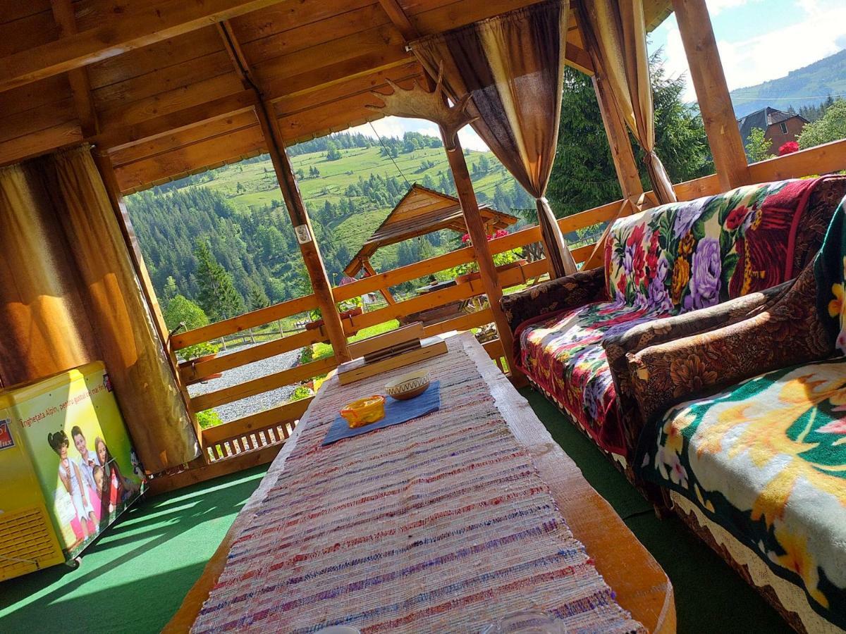 Casa Raluca Villa อาริเอเชนิ ภายนอก รูปภาพ